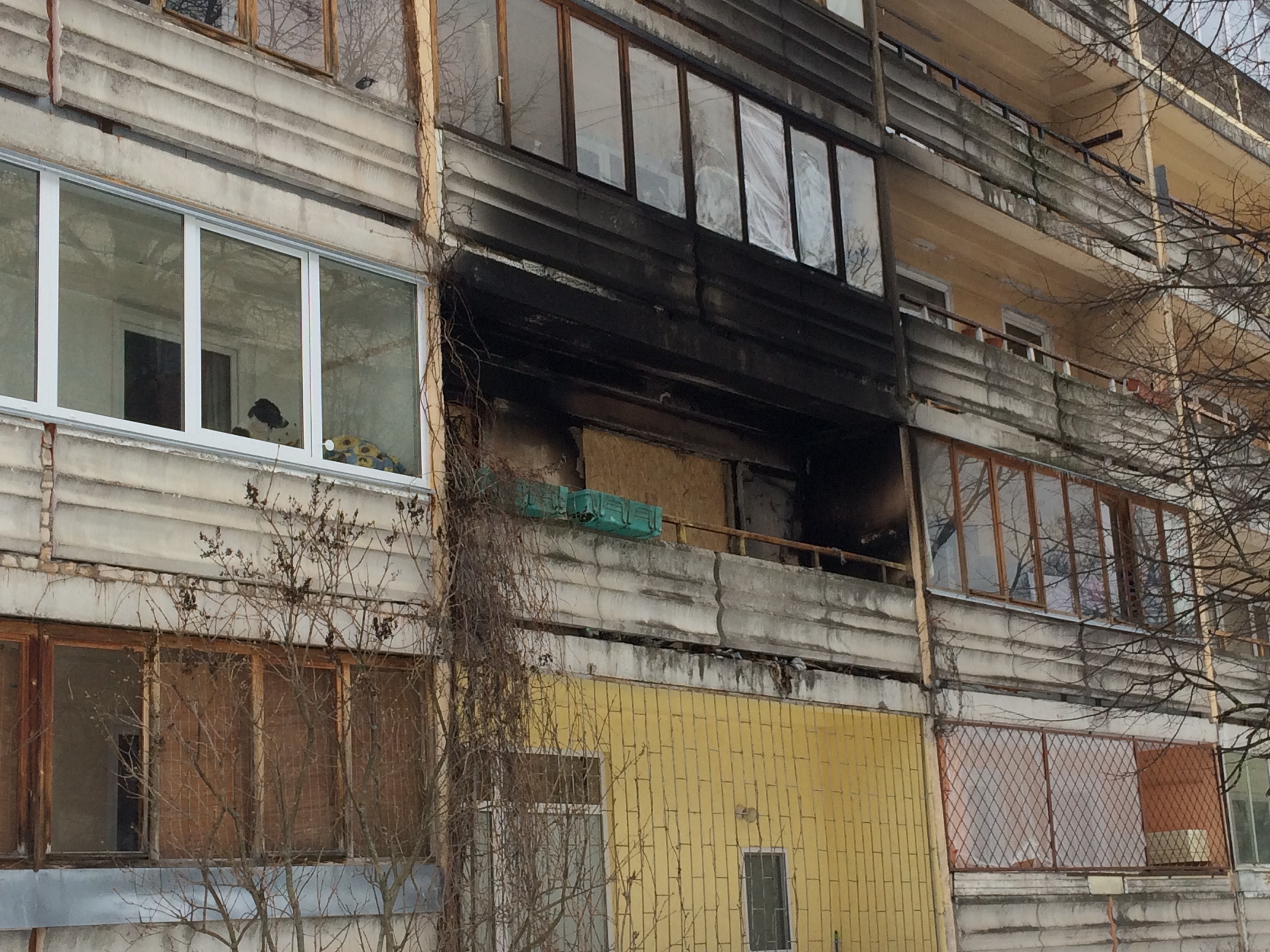 От некоторых даже веет запахом грусти..